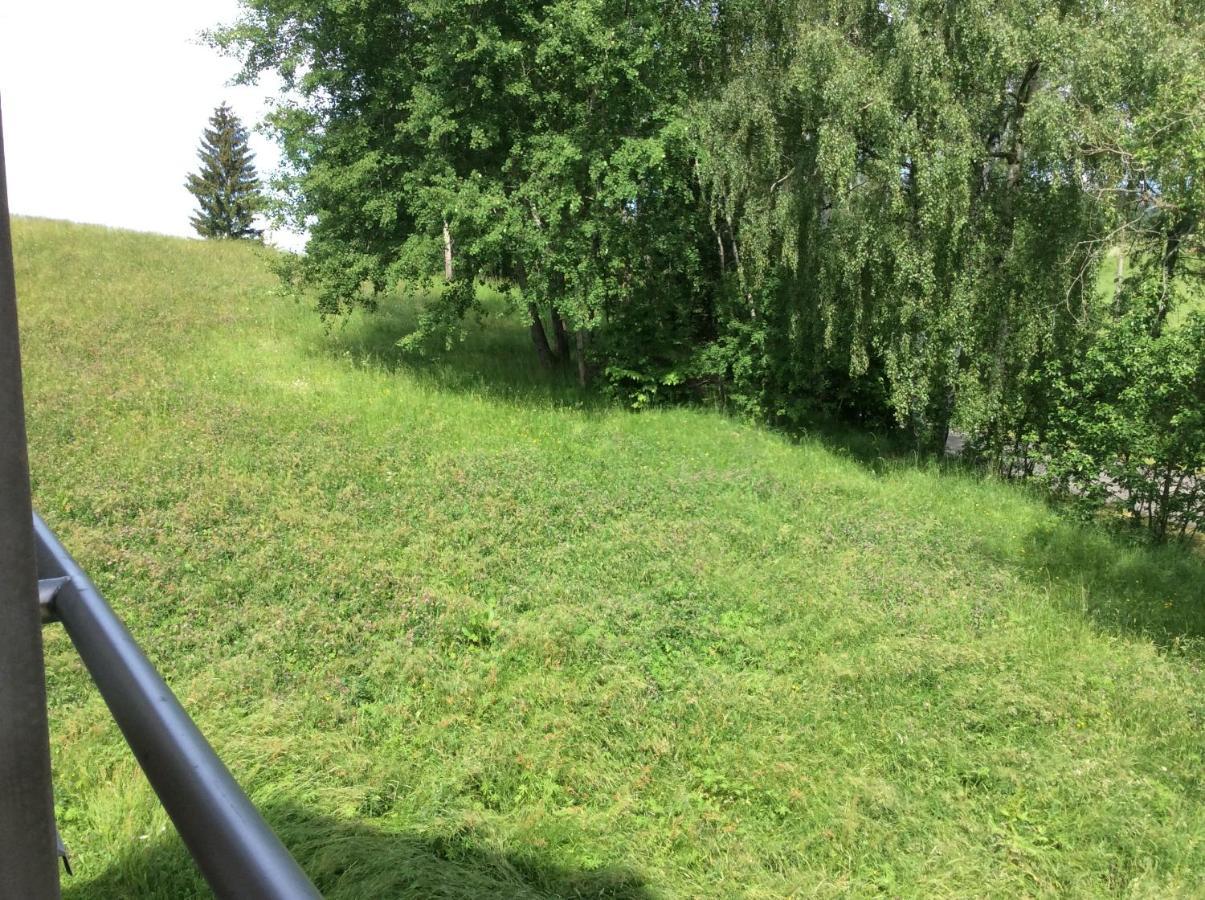 Odolov Jestrebi Hory Appartement Male Svatonovice